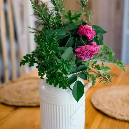 Artist's Loft Pesádha