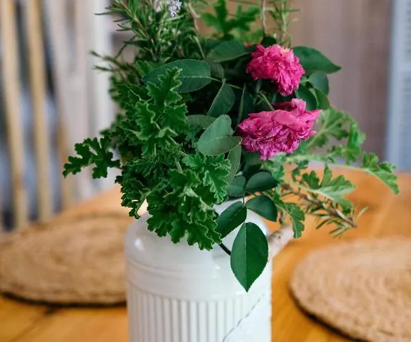 Artist's Loft Pesadha